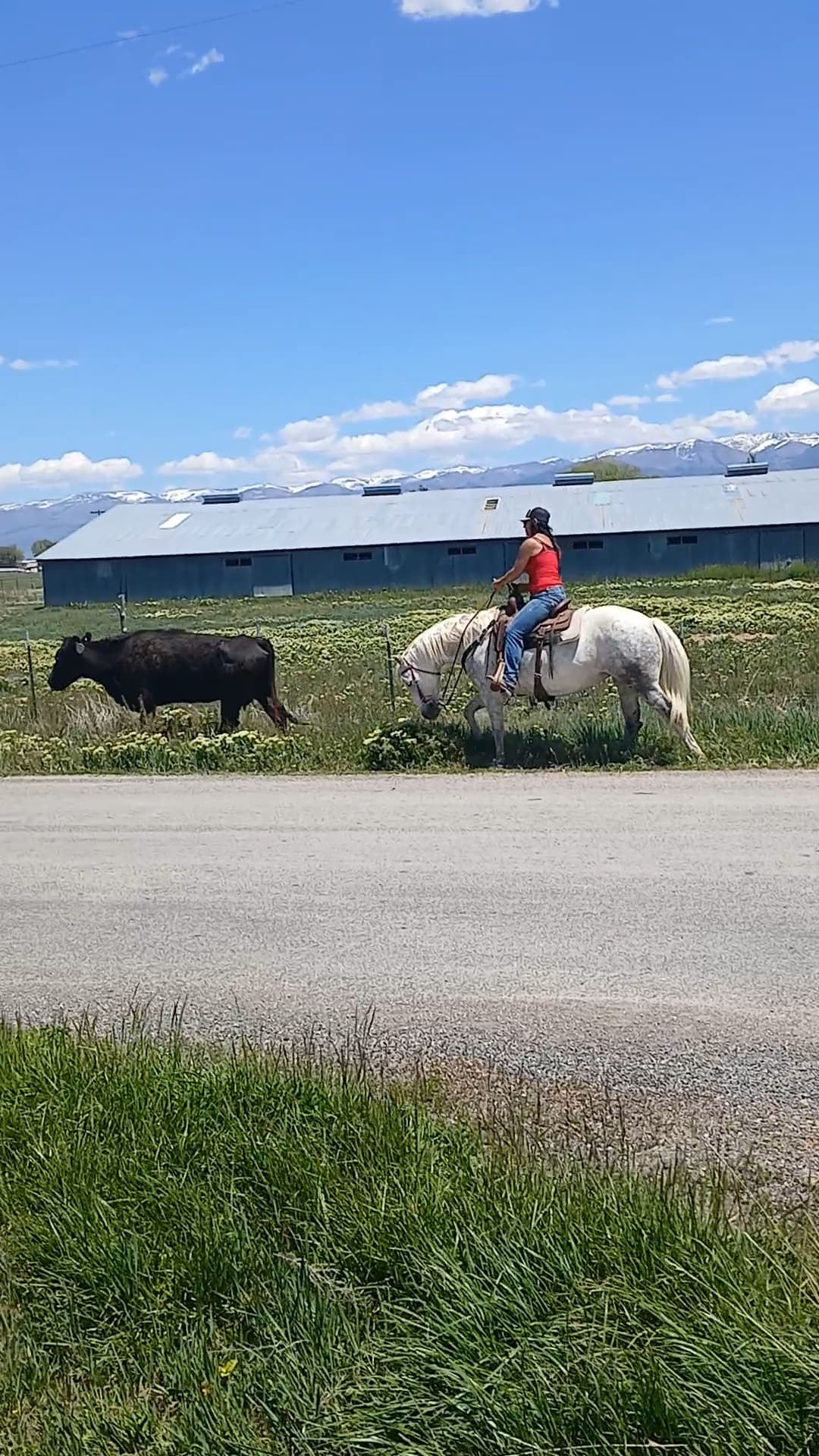 This Chic Tho - Image 4