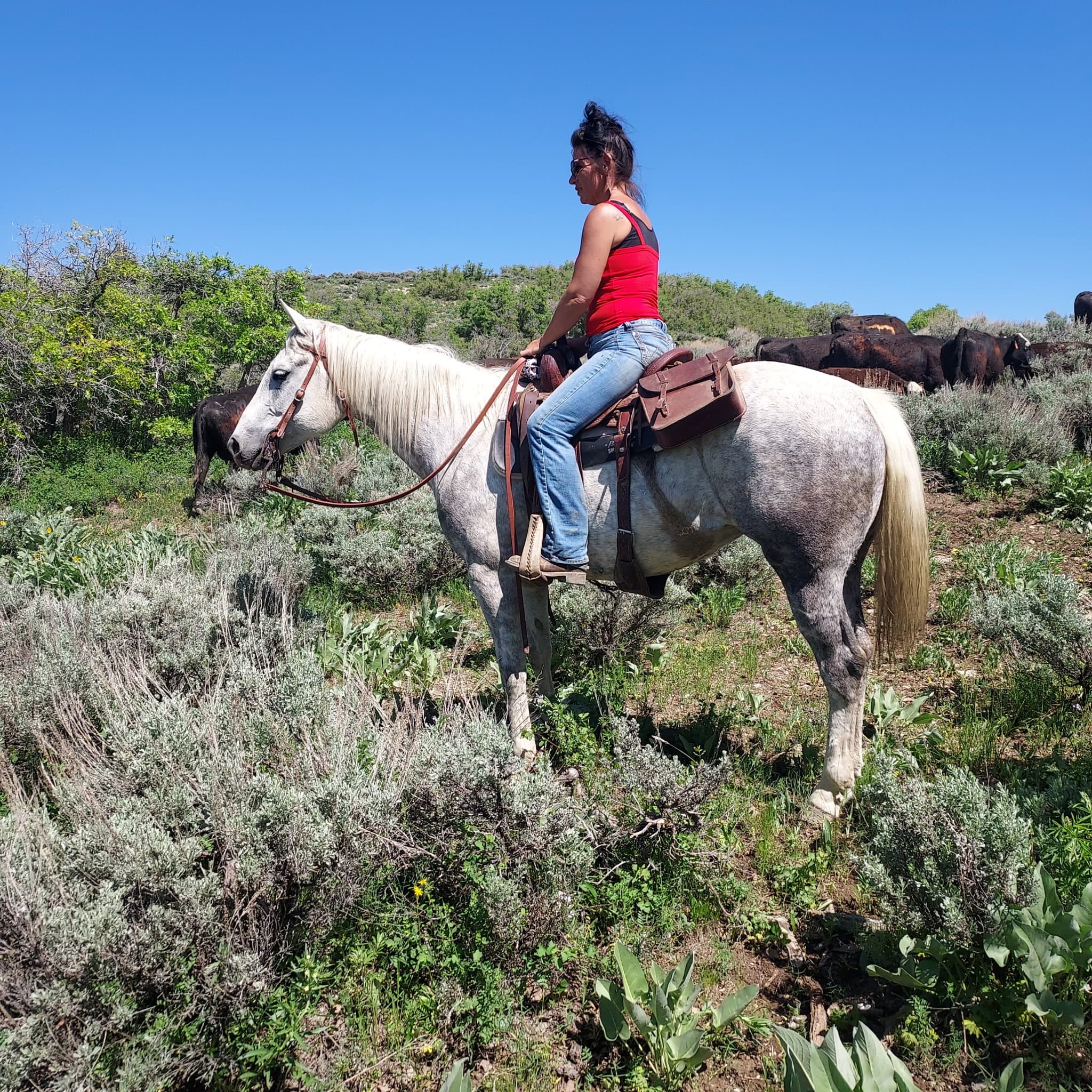 This Chic Tho - Image 8