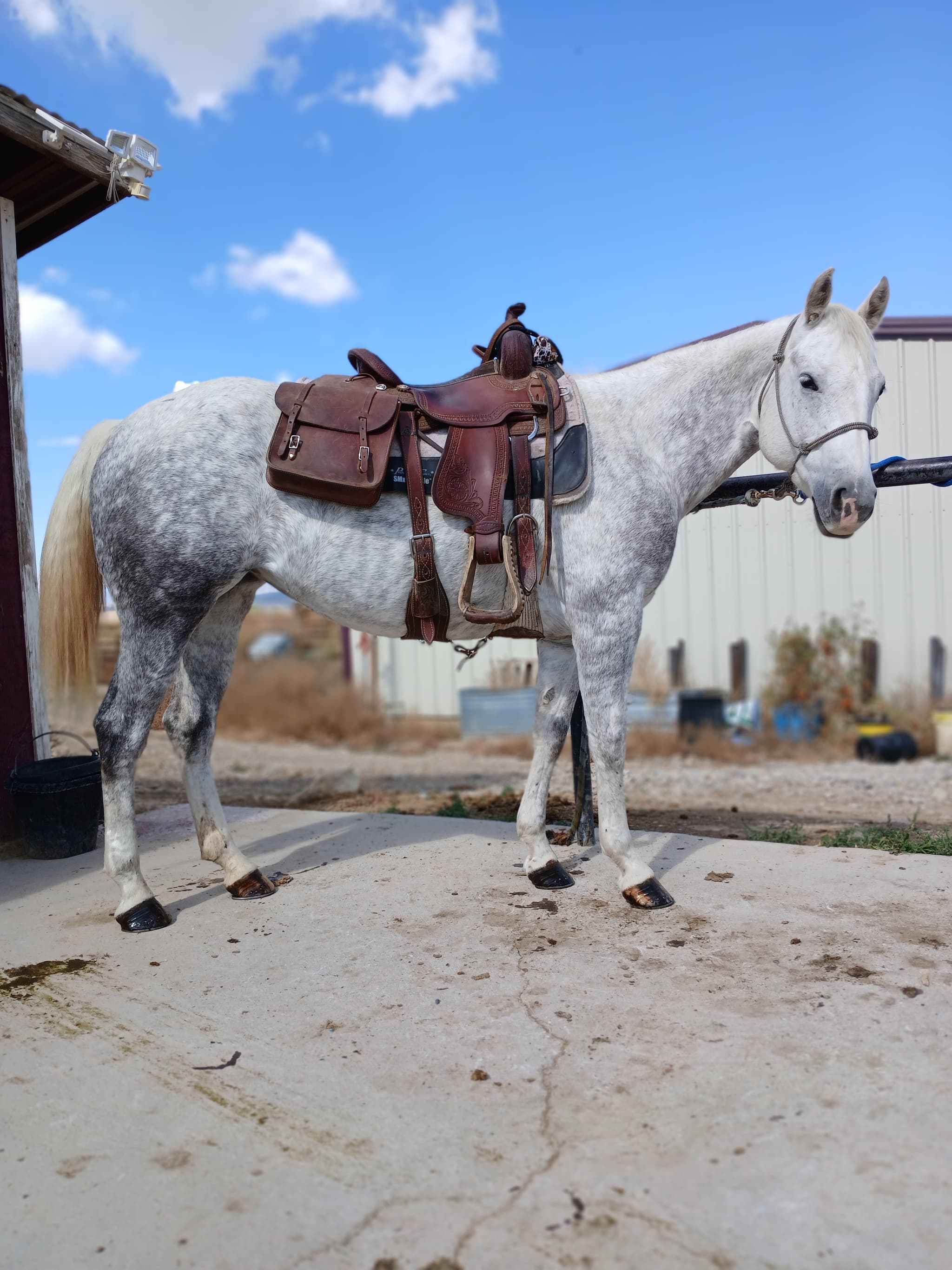 This Chic Tho - Image 3