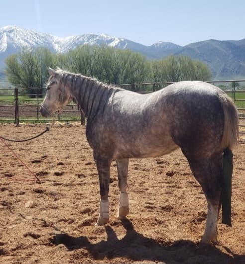 This Chic Tho - Image 2