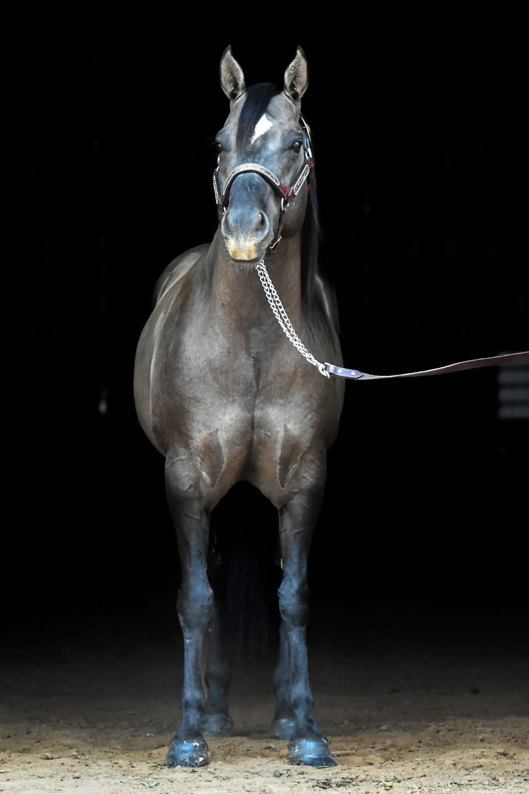 Dun It For The Babes - Image 4