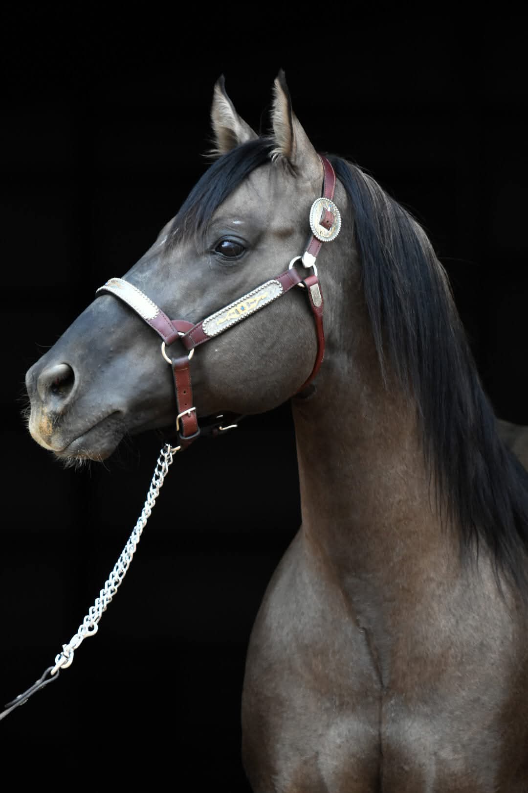 Dun It For The Babes - Image 3