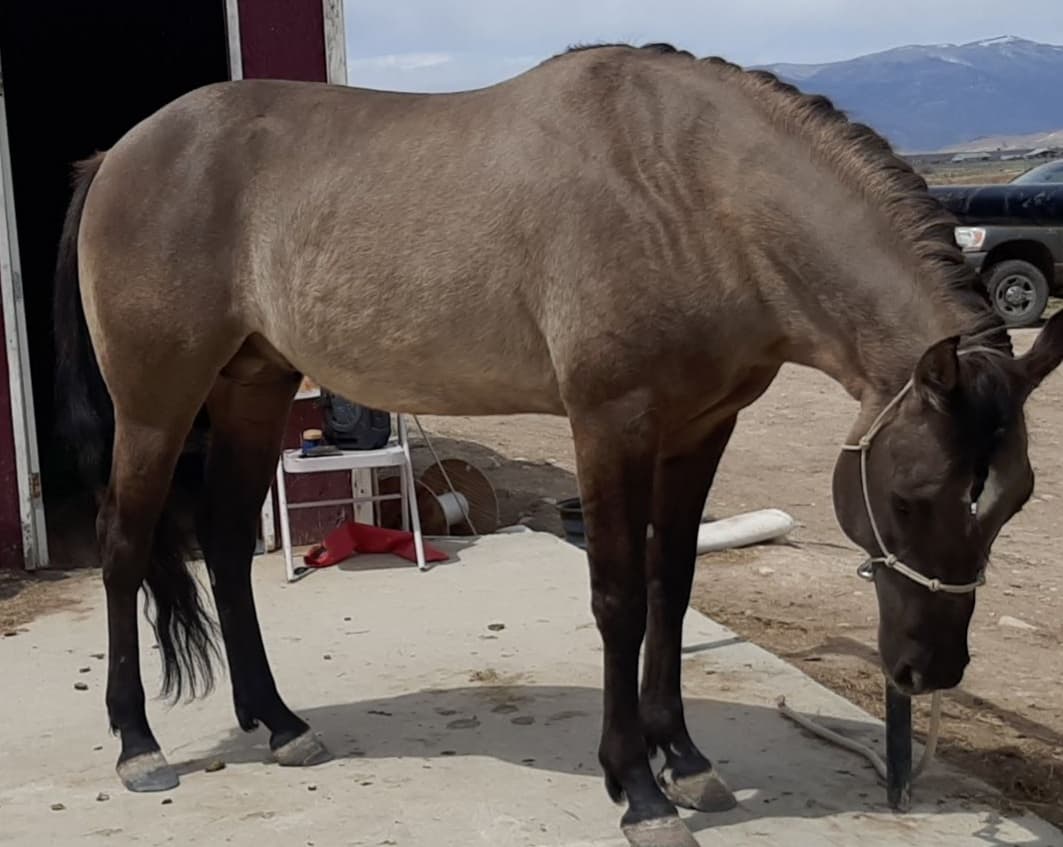 Dun It For The Babes - Image 5