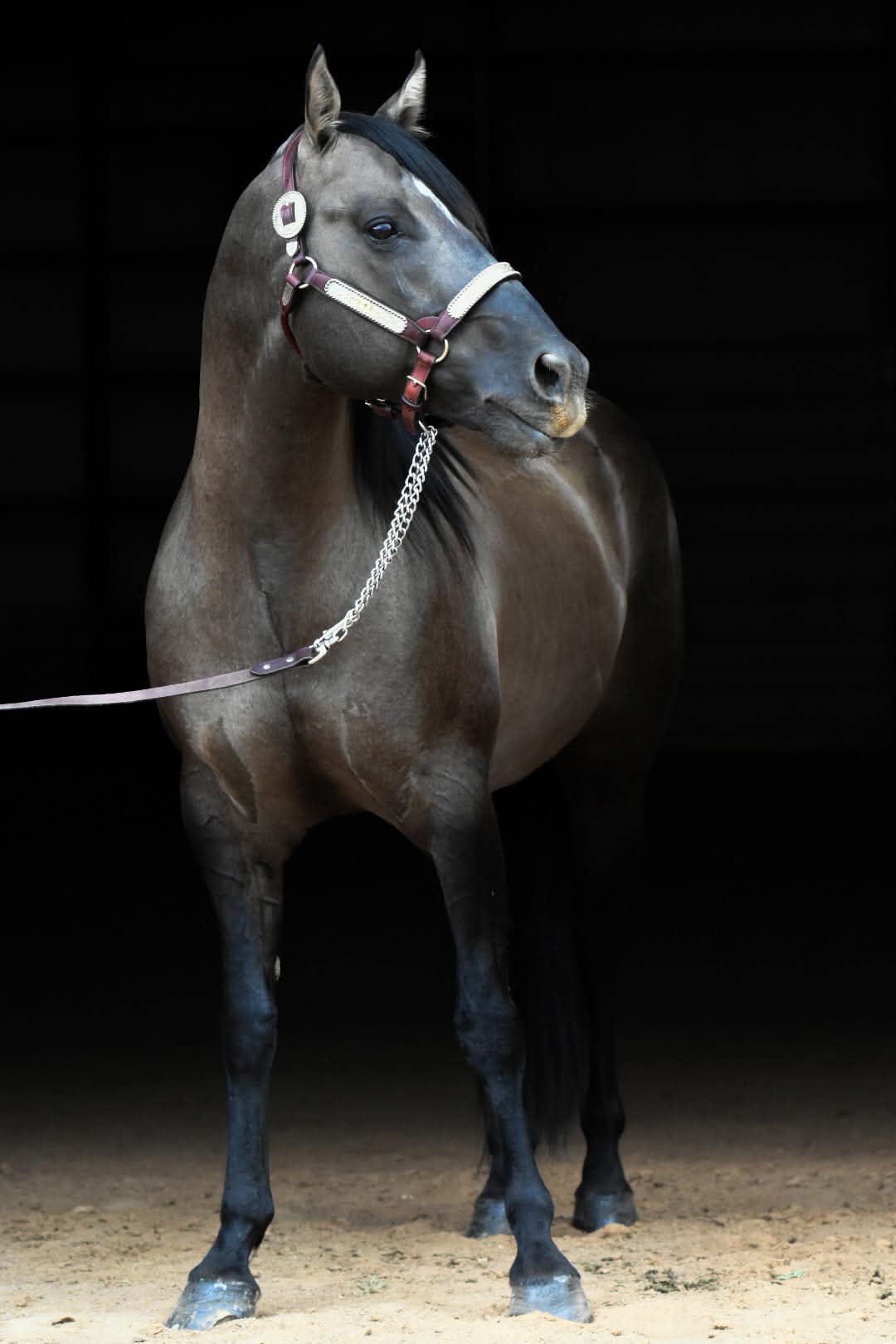 Dun It For The Babes - Image 2