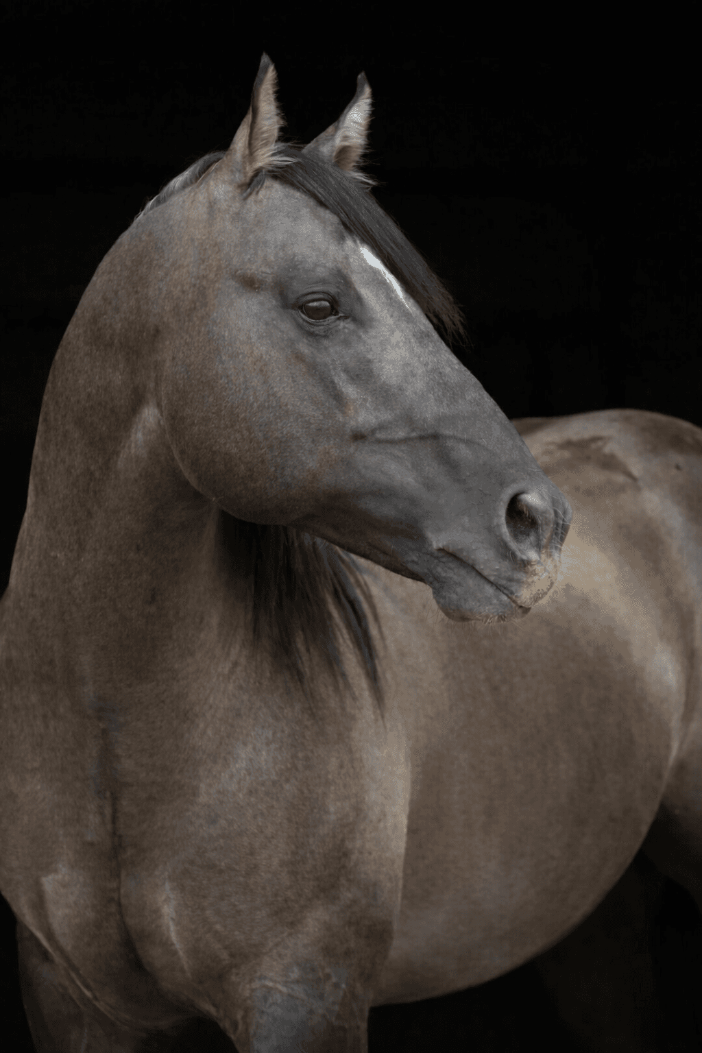 Dun It For The Babes - Image 1