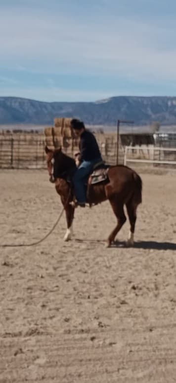 JD BOONSHINE SADIE - Image 2