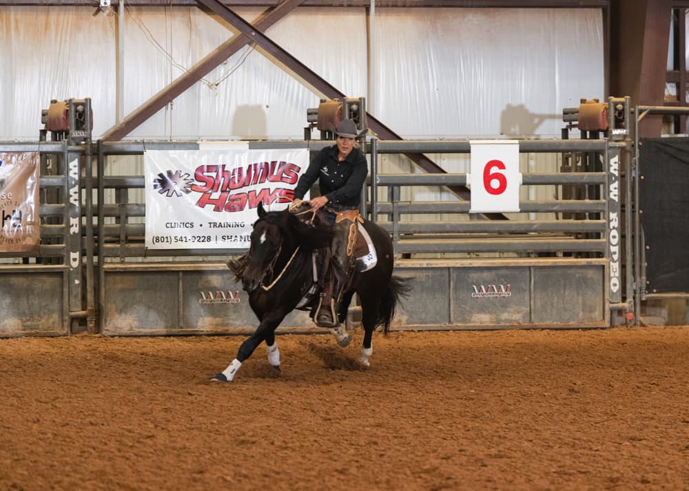 HD Boonshine Cash - Image 2