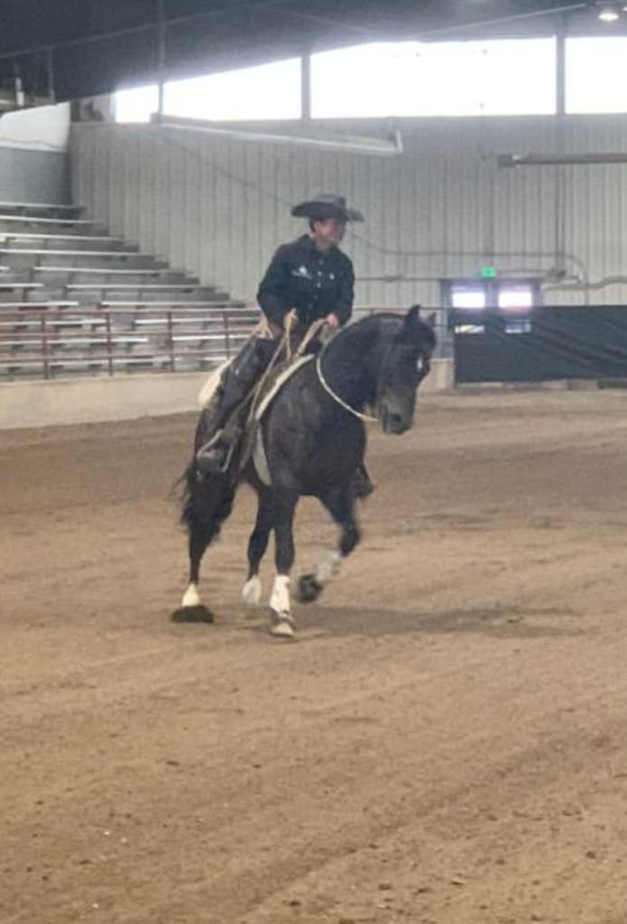 HD Boonshine Cash - Image 8