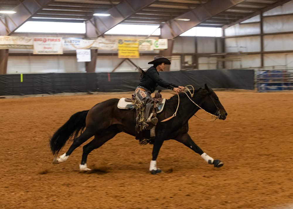 HD Boonshine Cash - Image 3