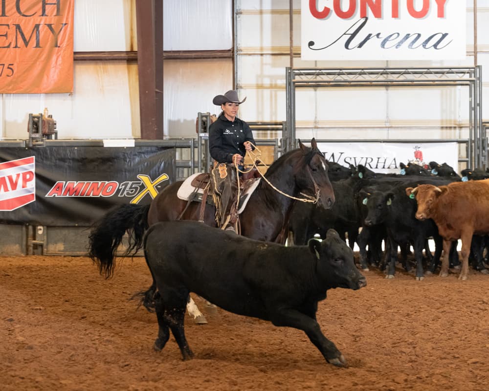 HD Boonshine Cash - Image 1