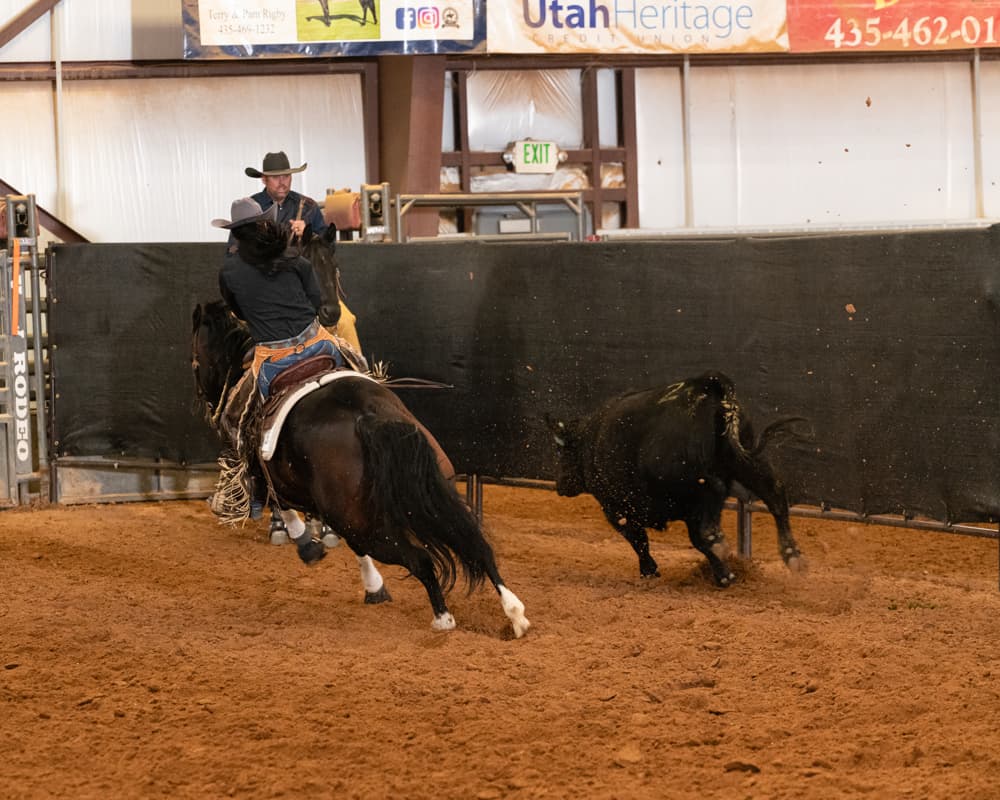 HD Boonshine Cash - Image 4