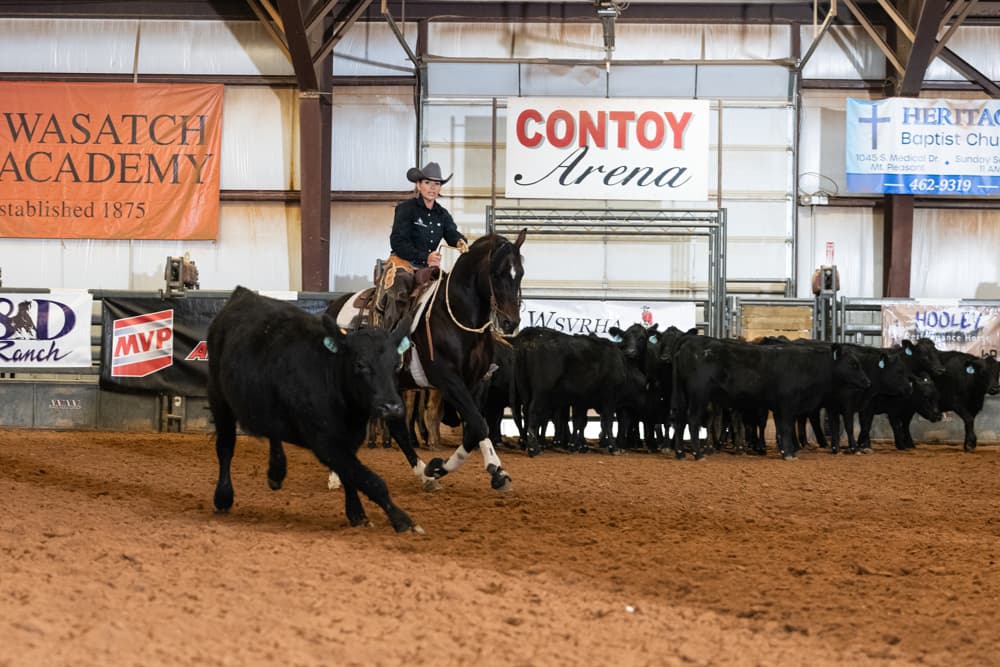 HD Boonshine Cash - Image 5