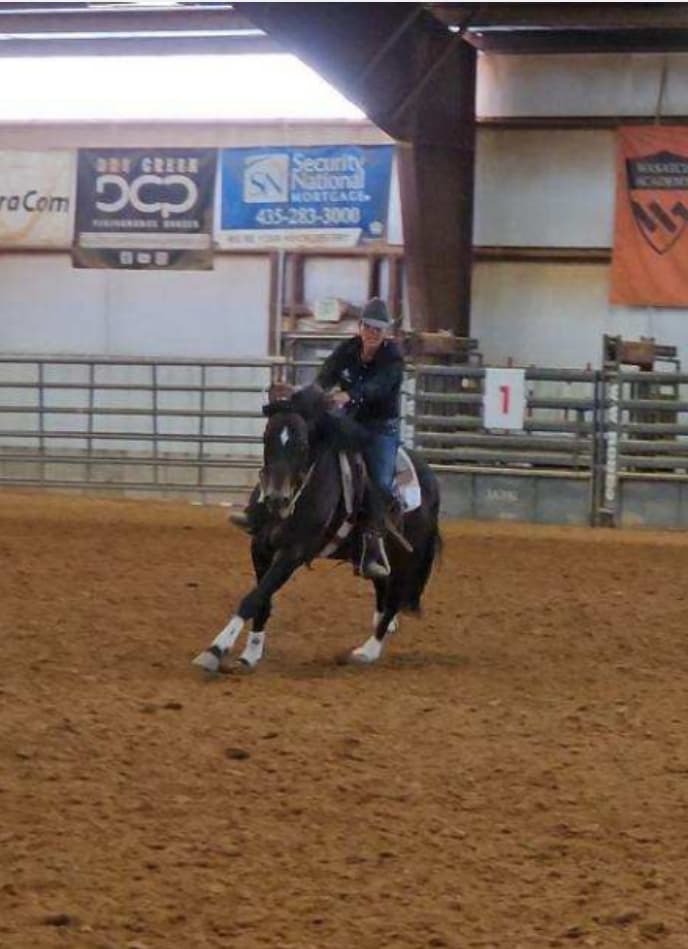 HD Boonshine Cash - Image 7