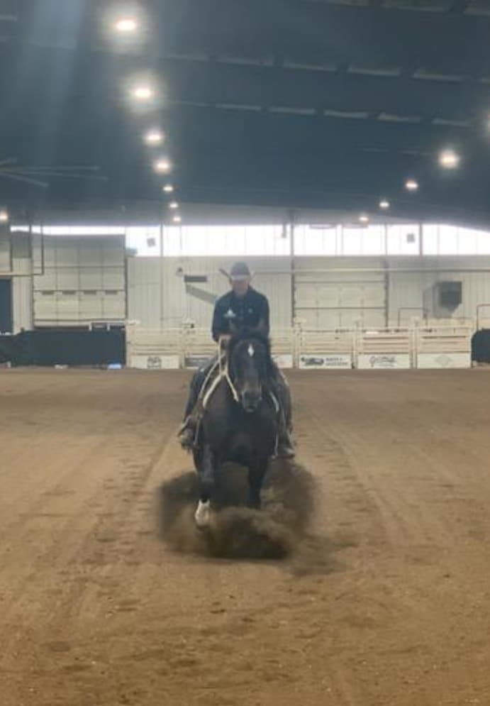 HD Boonshine Cash - Image 9