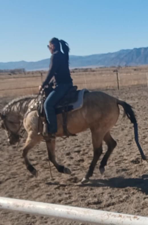 PEPTOS LIL BARMAID - Image 1