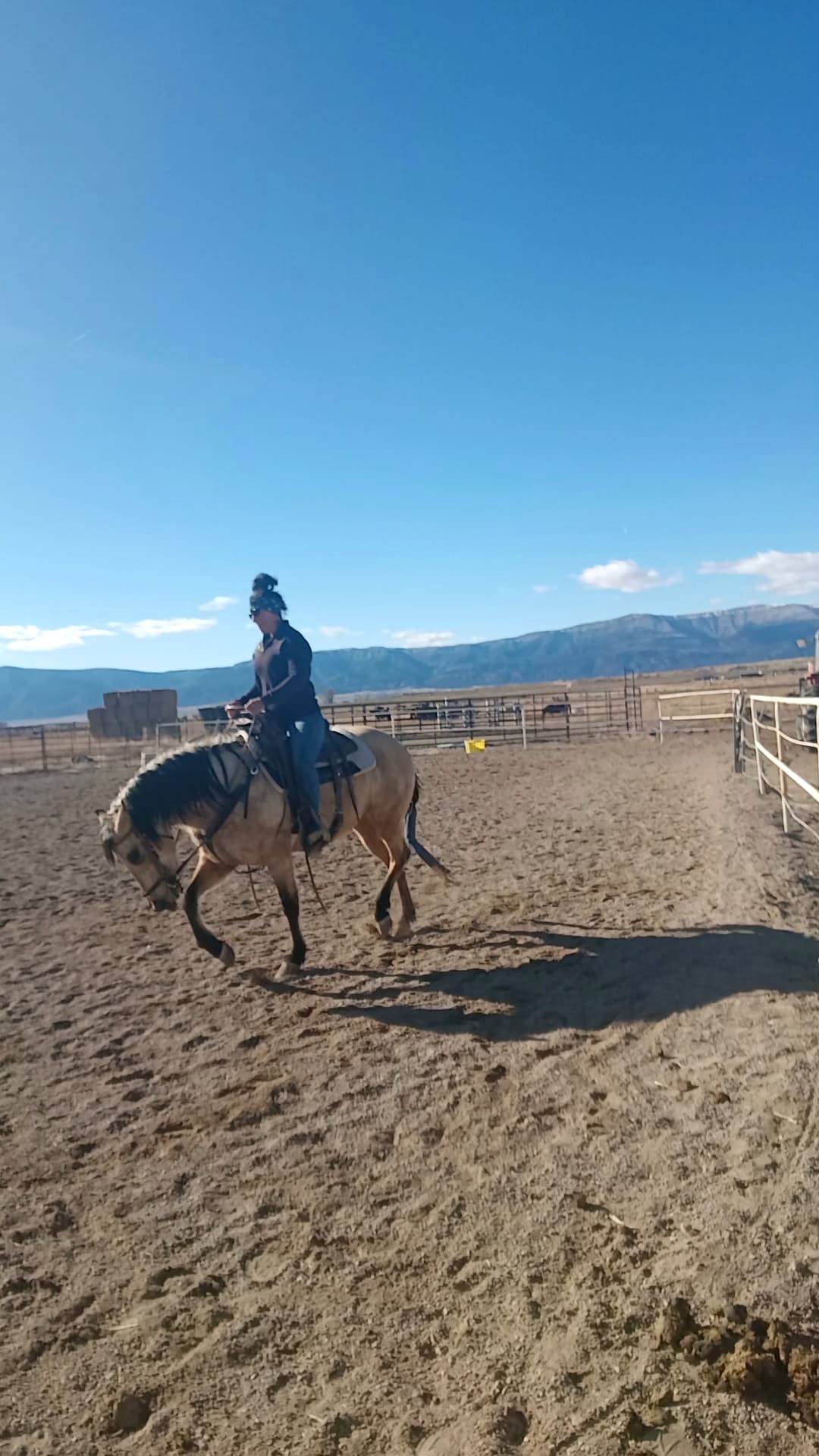 PEPTOS LIL BARMAID - Image 2