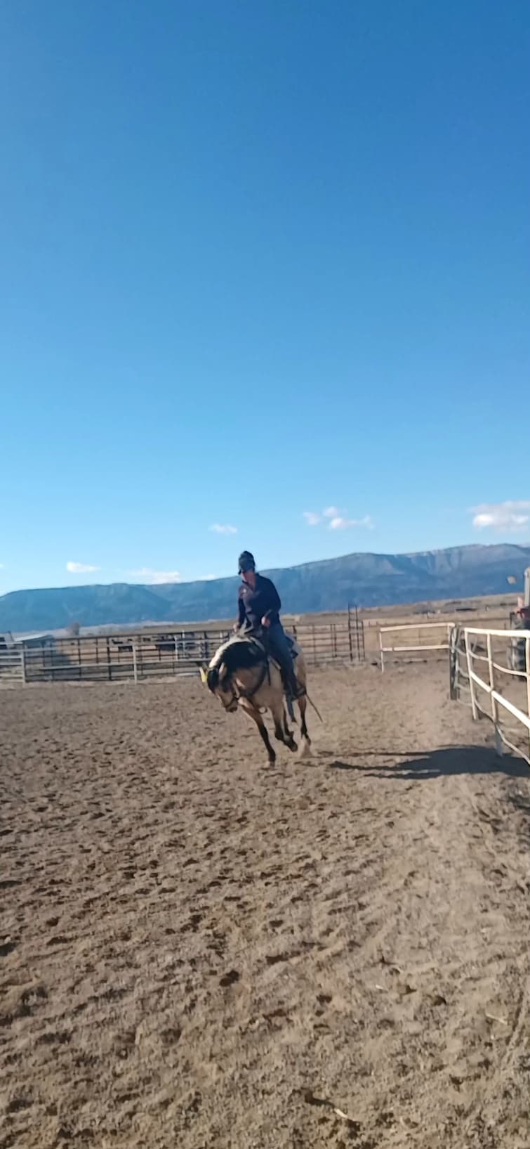 PEPTOS LIL BARMAID - Image 4